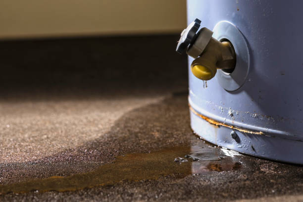 Best Water damage restoration mold remediation  in Payson, UT