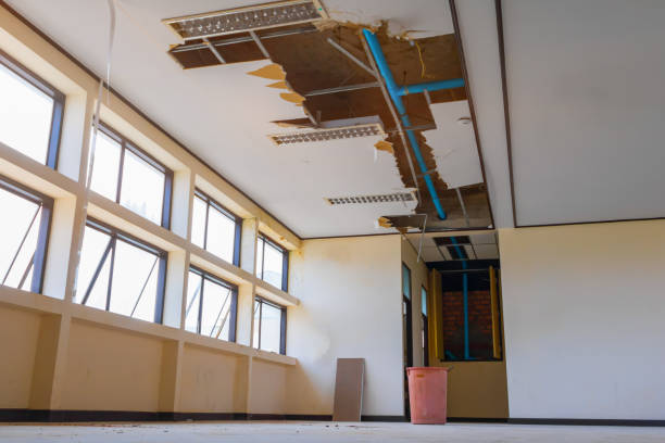 Best Water damage restoration company  in Payson, UT