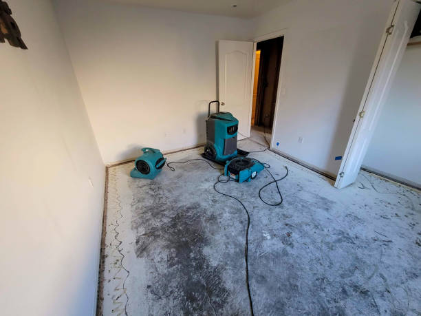 Best Basement water damage restoration  in Payson, UT