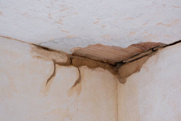Best 24/7 water damage repair  in Payson, UT