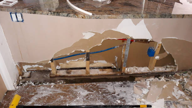 Best Mold removal after water damage  in Payson, UT
