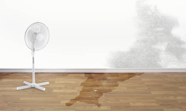 Trusted UT Water damage restoration Experts
