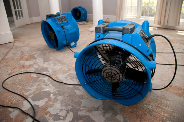 Best Commercial water damage restoration  in Payson, UT