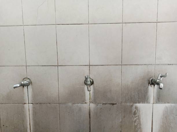 Best Water damage contractors near me  in Payson, UT