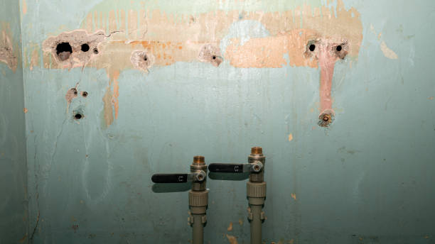 Best Water damage restoration near me  in Payson, UT