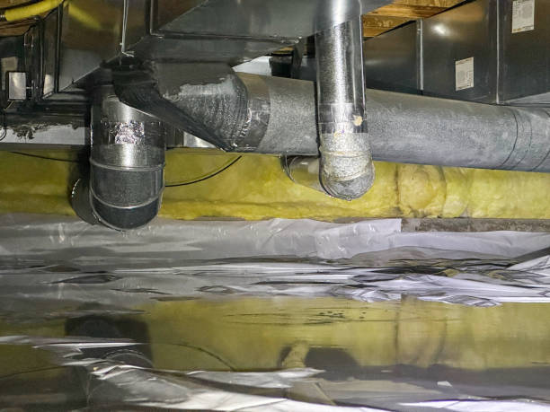 Best Water damage contractors near me  in Payson, UT