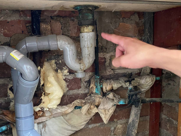 Best Water damage restoration near me  in Payson, UT