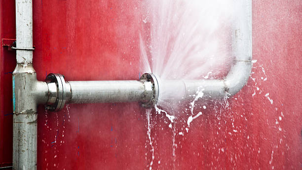 Best Local water damage restoration  in Payson, UT
