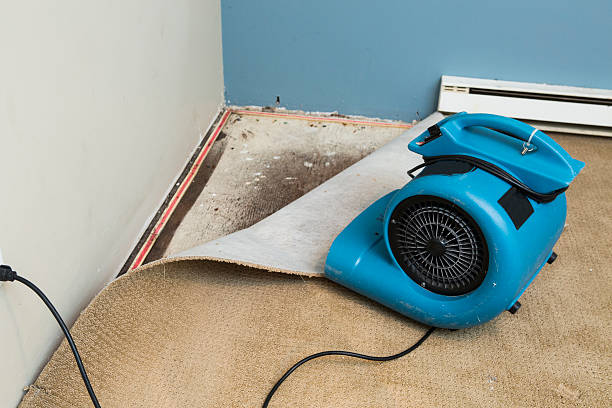 Best Flooded house restoration  in Payson, UT